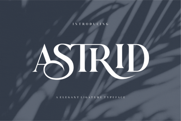 Astrid: The Serif Font Blending Timeless Elegance with Modern Flair