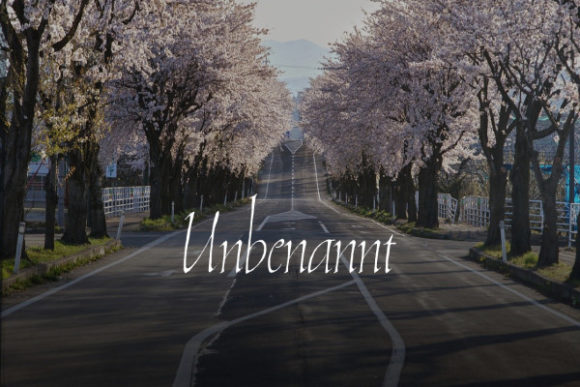 Unbenannt: Elevating Design with Elegant Handwritten Typography
